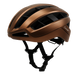 CHECKPOINT BRONZE